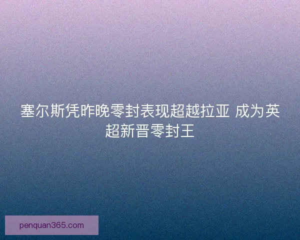 塞尔斯凭昨晚零封表现超越拉亚 成为英超新晋零封王